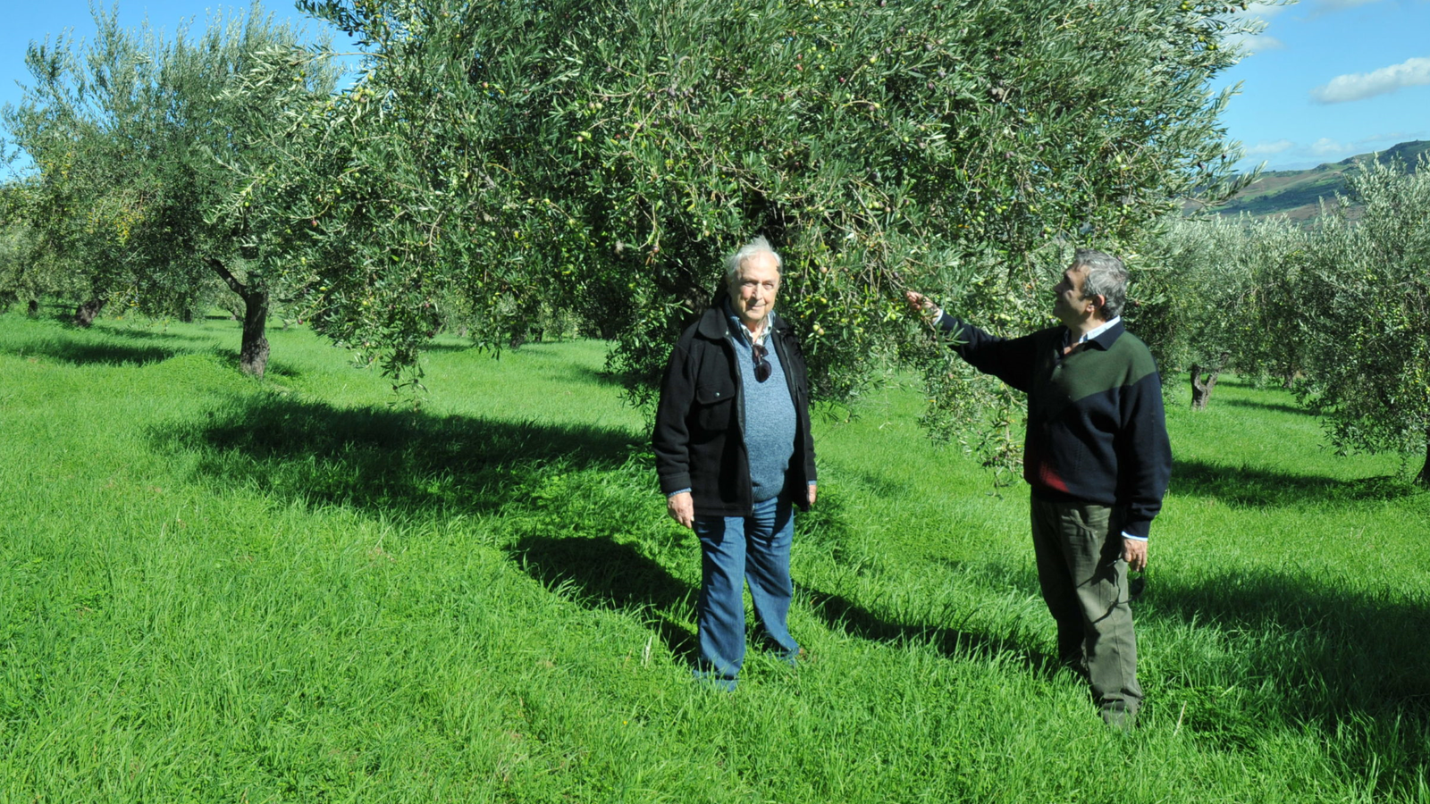 Benvenuti nell'Oleificio Milazzo